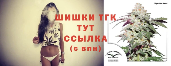 индика Балабаново