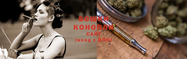 индика Балабаново