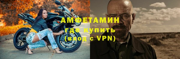 индика Балабаново