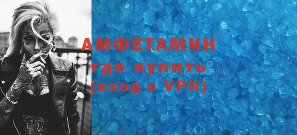 индика Балабаново