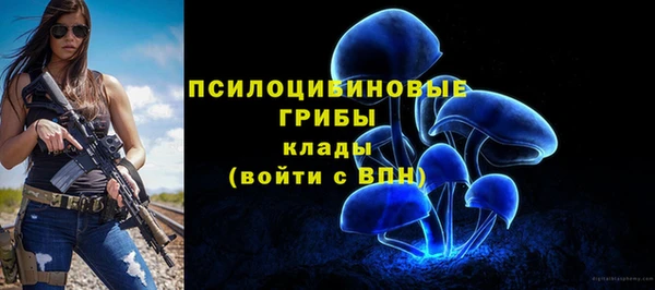 индика Балабаново